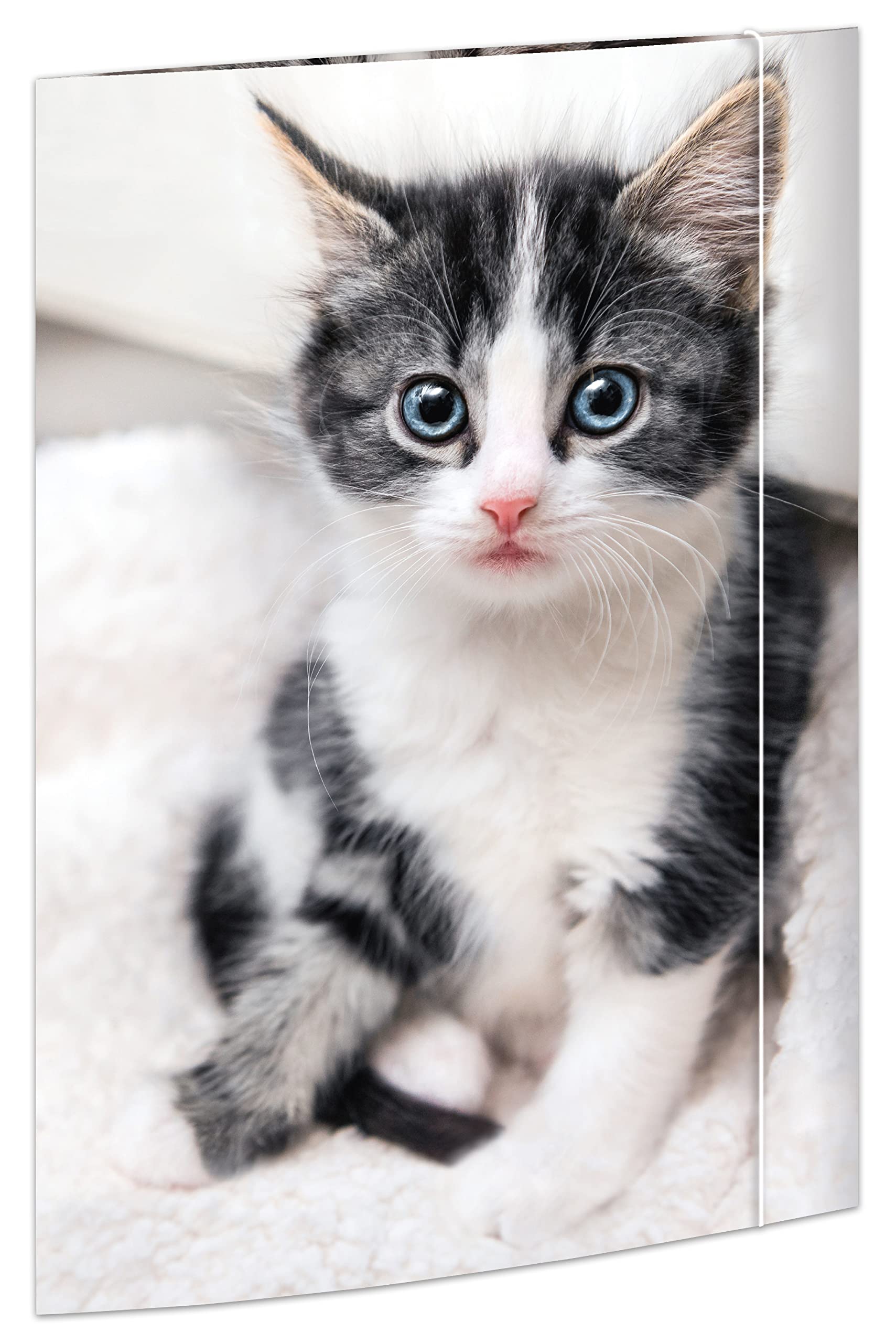 RNK 45331 Drawing Folder Cat 310 x 440 mm DIN A3 with Elastic Closure Pack of 1