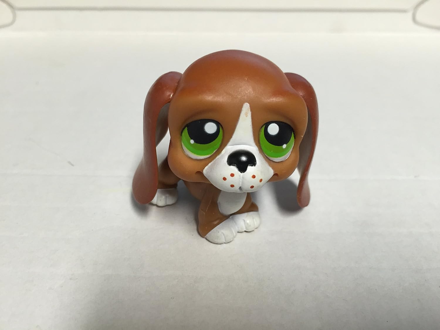 king charles puppies near me