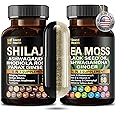 SoundHealth Wild Organic Irish Sea Moss and Shilajit - 8000mg Sea Moss, 10000mg Shilajit, Ashwagandha 2000mg, Ginseng, Vitamin C, Vitamin D3, Black Seed Oil - 2 Bottles of 60 Capsules