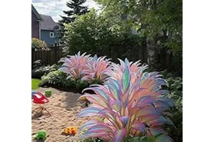 Stunning Iridescent Rainbow Hosta Seeds | Perennial Shade Plants with Color-Changing Foliage | Fast-Growing, Low-Maintenance 