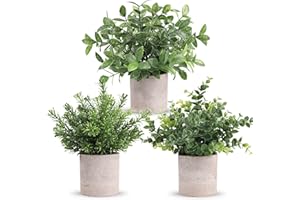 Der Rose 3 Pack Mini Potted Fake Plants Artificial Plastic Eucalyptus Plants Centerpieces for Table Home Office Desk Accessories Farmhouse Room Classroom Decor