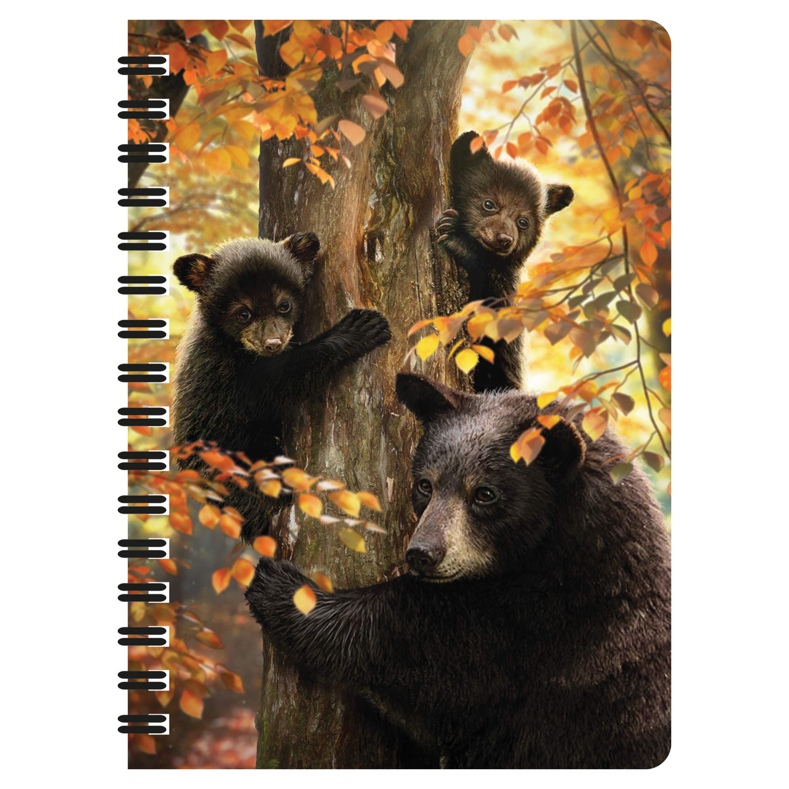 3D LiveLife Jotter - A Mother's Watch from Deluxebase. Spiral Bound A6 Notebook with 80 Plain Recycled Pages. Pocket Sized Animal Notepad, Journal or Drawing Book with Bear Cover