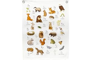 BELLA ROSA HOME Woodland Nursery Decor for Boys or Girls - Woodland Nursery Wall Decor - Baby Wall Decorations for Nursery