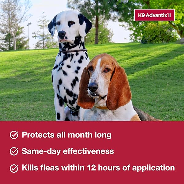 K9 ADVANTIX II MEDIUM DOG VET-RECOMMENDED FLEA, TICK & MOSQUITO TREATMENT & PREVENTION | DOGS 11-20 LBS. | 2-MO SUPPLY