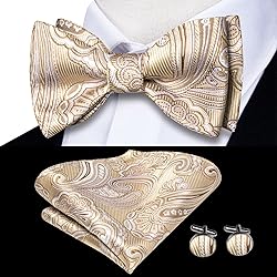 Hi-Tie Mens Suit Vest Bowtie Set Ties for Men V