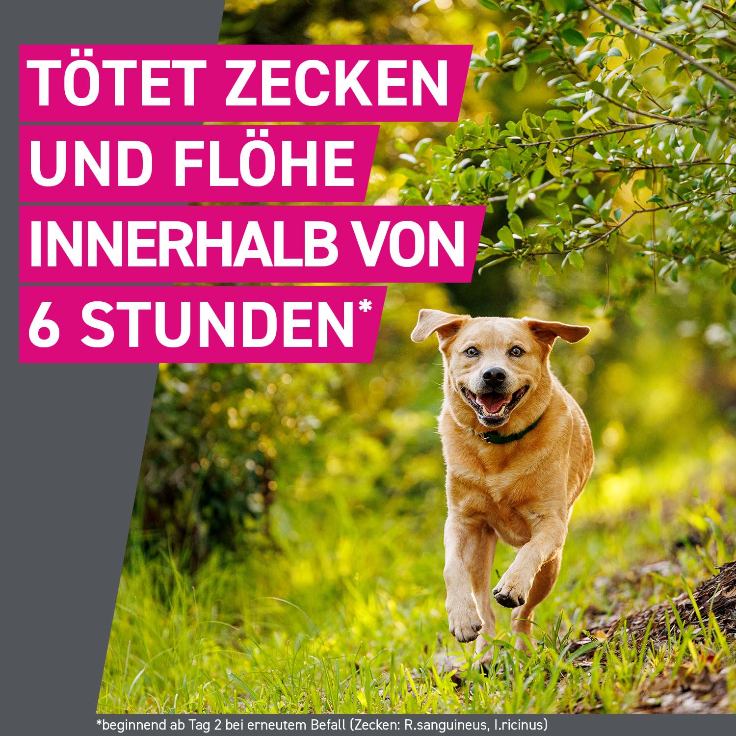 FRONTLINE TRI-ACT Hund L gegen Zecken, Flöhe & Mücken (große Hunde 20 bis 40 kg) - 3X Pipetten für bis zu 3 Monate Schutz - wasserfest - perfekt auf Reisen 5