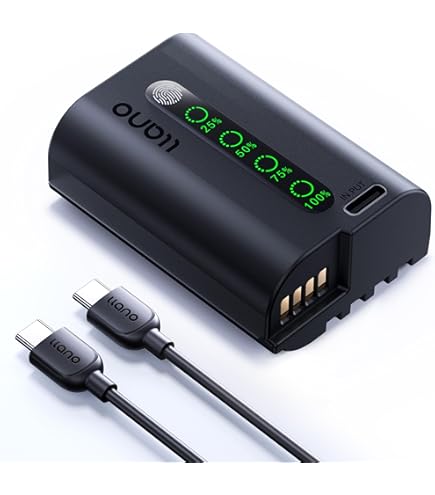 Amazon.com: Wasabi Power Battery (2-Pack) for Panasonic DMW-BLK22