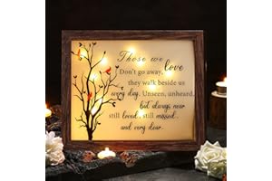 Gerrii Sympathy Memorial Gifts Red Cardinal Bereavement LED Memorial Gifts for Loss of Loved One Wooden Shadow Box 10'' x 8''