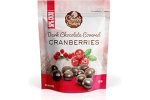 NATURE'S GARDEN Chocolate Orchard Dark Chocolate Covered Cranberries - 6oz