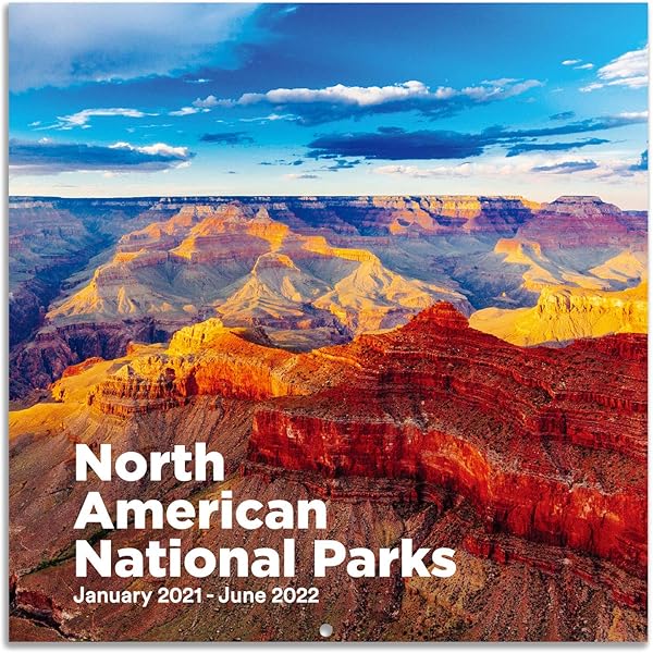 National Calendar June 2022 2022 Wall Calendar - Monthly Wall Calendar 2022, Jan 2022 - Dec 2022, 12" X  24" (Open), Wall Calendar With Julian Date, Perfect Calendar For Organizing  & Planning - National Parks : Amazon.sg: Office Products