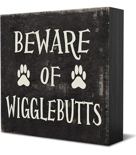 Primitives by Kathy Box Sign, Swearing. Sometimes Gosh Darn And Meanie Head Just Don' t Cover it. Decorazione da Parete