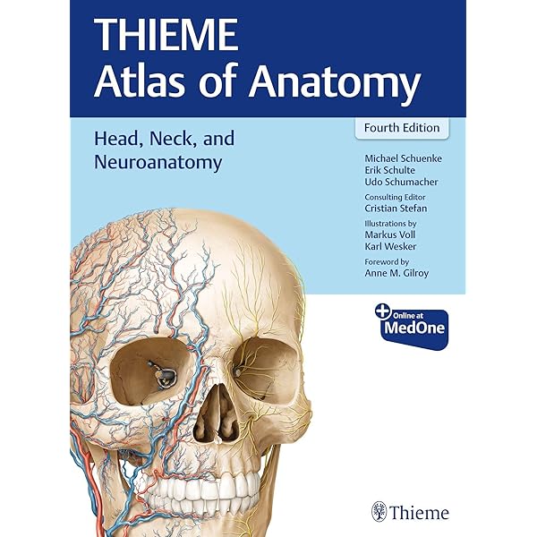 Head, Neck, and Neuroanatomy (THIEME Atlas of Anatomy), Latin