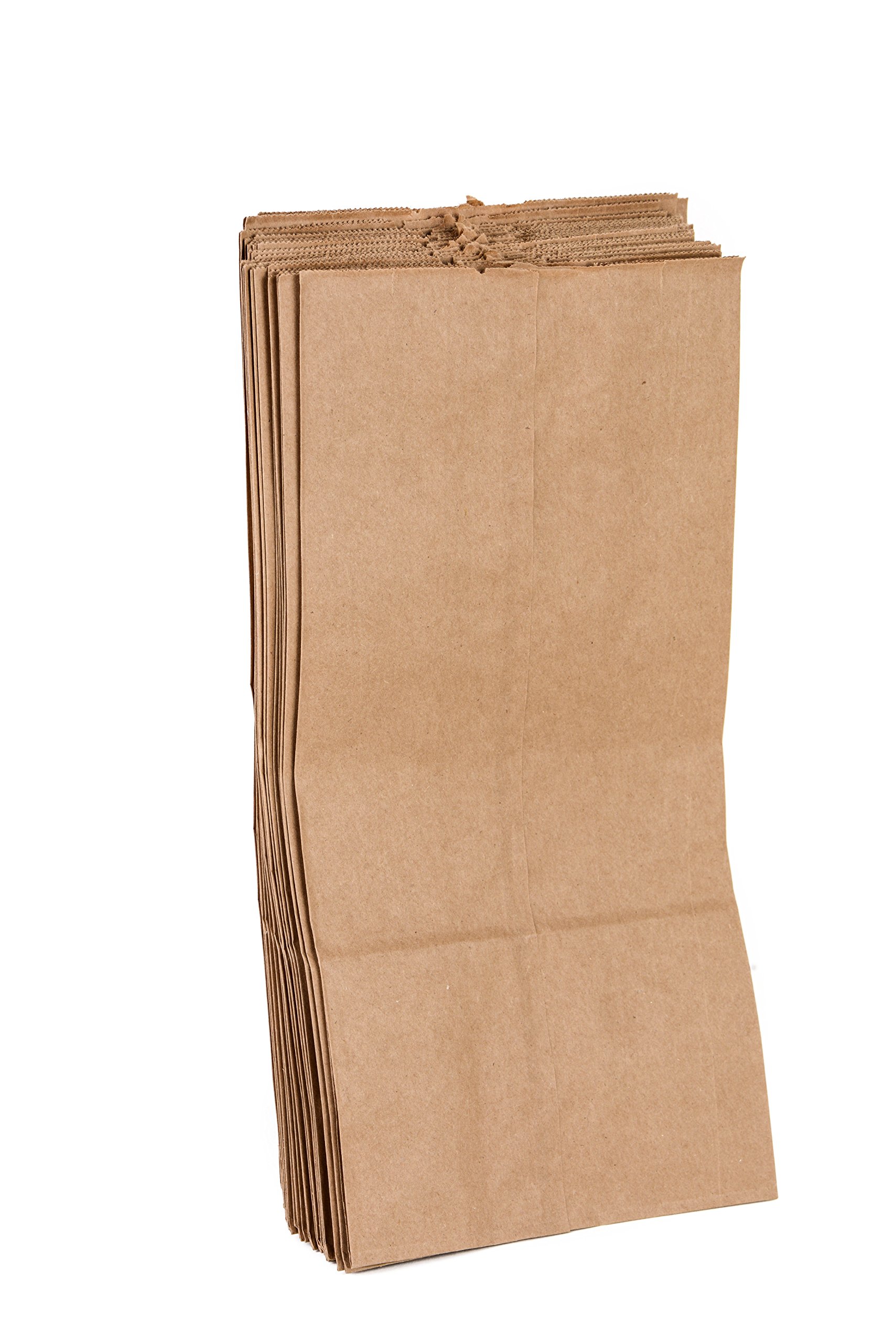 100 Mini Brown Kraft Paper Bag (1 lb) Small - Paper Lunch Bags, Small Snacks, Gift Bags, Grocery, Merchandise, Party Bags (3 1/2 x 2 3/8 x 6 7/8) (1 Pound Capacity)