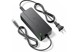 SAYSOLAK 42V 2A Electric Scooter Charger for iScooter i9, i9 Pro, i8, i8L & isinwheel U1, U2, M10 Electric Bike, S9/S9 Pro/S9 Max/V8 Scooters, 9.8Ft Charger Replacement Part for 36V Lithium Battery