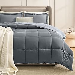 Homelike Moment Queen Comforter Set