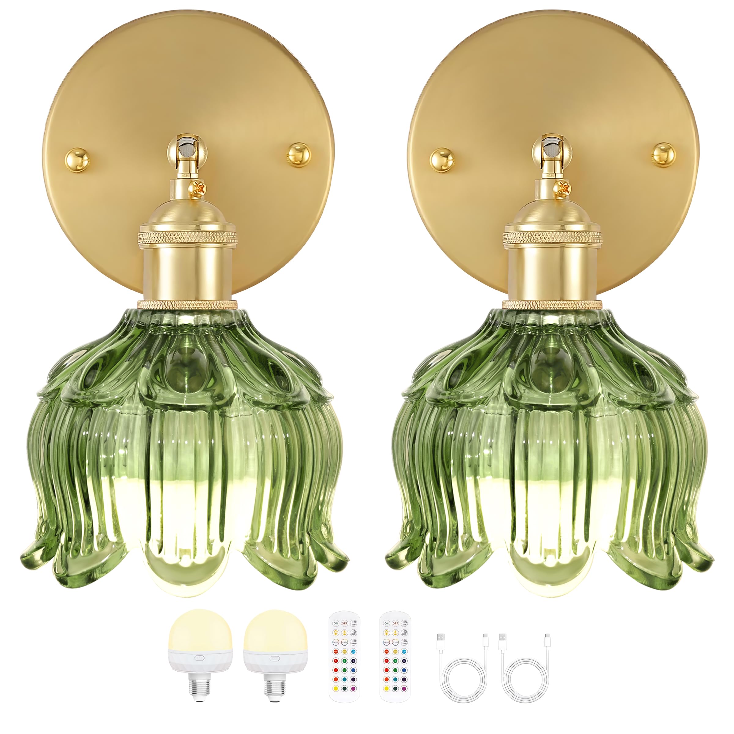 Photo 1 of FFVU Vintage Battery Wall Sconce with Flower lampshade,Rechargeable Battery Powered Wall Lights,Wall lamp with 15 Colors for Bedroom Living Room Home Decor (Flower Green, 2 Light Battery Operated)