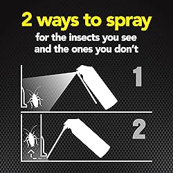 Raid Max Ant and Roach Spray