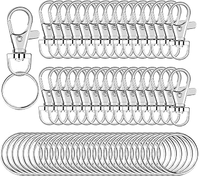 SANNIX 60pcs Keyrings Key Chain Clips Hooks for Crafts & DIY Projects