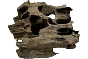 Awesome Aquatic Natural Small Holey Driftwood 4” - 7” Nano Fish Aquarium, Shrimp Tank, Terrarium, Reptile Branch & Log Habitat Wood Decoration Arts & Crafts Decor (Small Holey 4-7 inch)