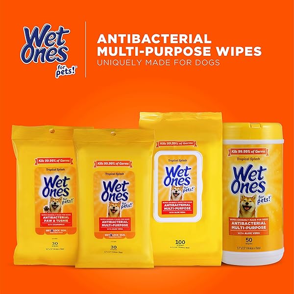 WET ONES FOR PETS ANTIBACTERIAL DOG WIPES, MULTI-PURPOSE GROOMING WIPES WITH ALOE VERA FOR PAWS, FACE & BODY, EASY CLEANUPS BETWEEN BATHS, TROPICAL SPLASH SCENT, 5.7 IN X 7.5 IN, 50 COUNT