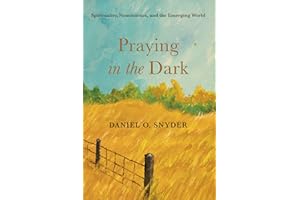 Praying in the Dark: Spirituality, Nonviolence, and the Emerging World