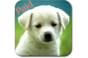 Animal Sounds Paid