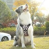 HEELE Dog Harness No Pull Front Back Clips Reflective Padded Garden Floral view 6