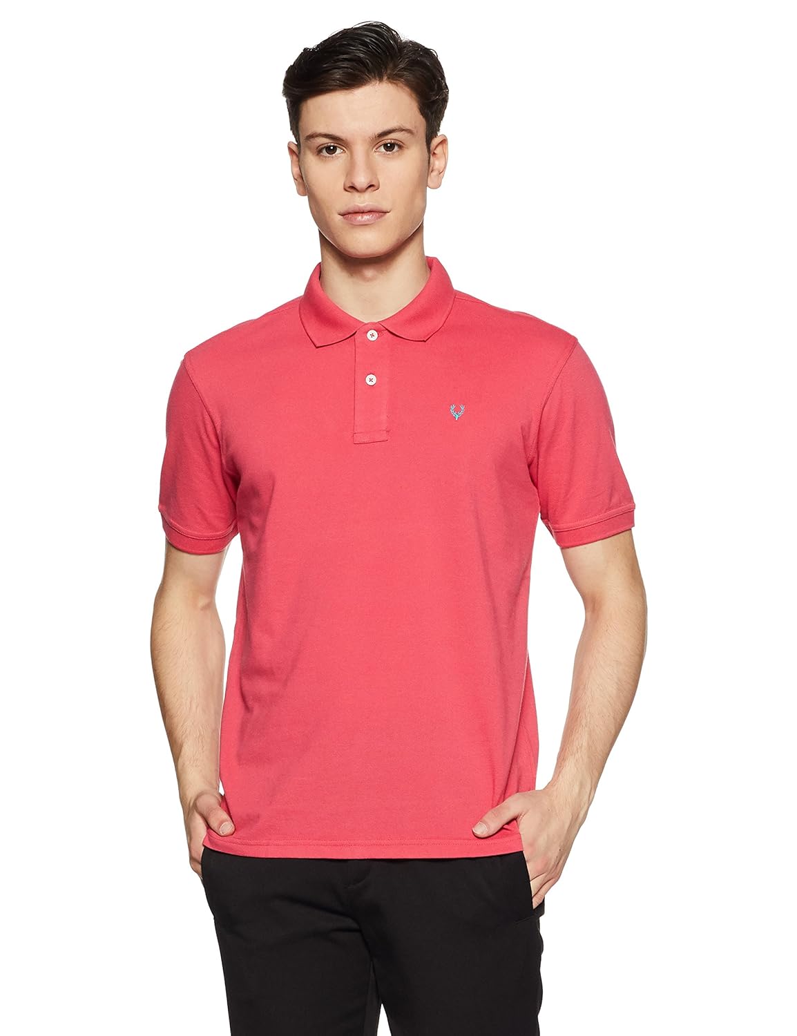 allen solly men's polo