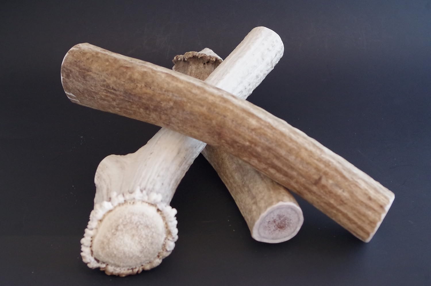 whole elk antlers for dogs