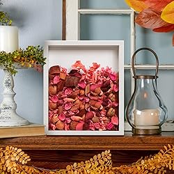 Califortree 2 Packs 8x10 Shadow Box Frame - Memory
