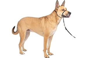 PetSafe Gentle Leader Headcollar No-Pull Dog Collar - Helps Improve Walks - Durable Nylon Construction - Padded Nose Loop - Adjustable Fit - Comfort Walking Halter - Medium, Black