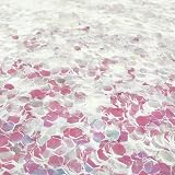Hemway Glitter Shaker Mother of Pearl Iridescent 110g Super Chunky Glitter view 2
