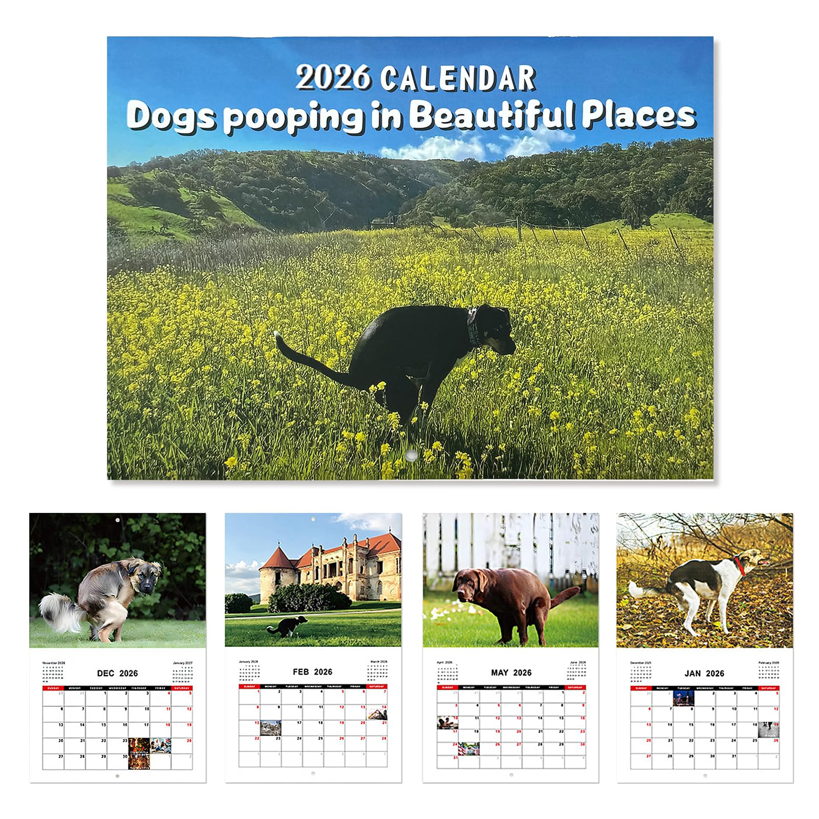 JAMSSOW 2026 Dogs Pooping in Beautiful Places Calendar,Humor Dog Pooping Calendar 2026,2026 Puppy Funny Wall Calendar,Funny Humor Gag Gifts For Birthdays Christmas