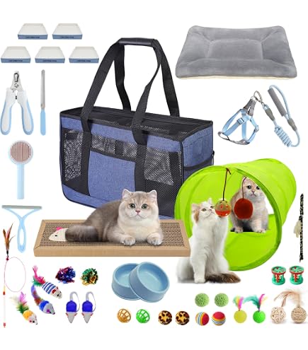 Eccliy Kitten Starter Kit – 10-teiliges Katzen-Set Mit Transportbox, Kletterbaum, Toilette & Spielzeug