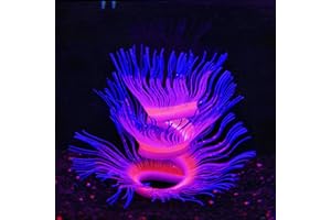 Bluecoco Soft Silica Gel Moves Naturally with Water Flow, Aquarium Decorations Glow in The Dark, Glowing Coral Ornaments for Fish Tank Decorations (Blue, Anemone)
