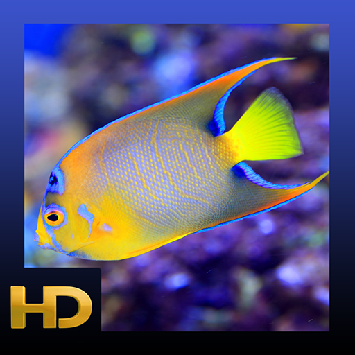 Peaceful Aquarium HD