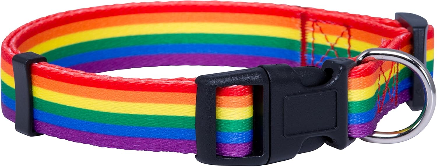 Native Pup Rainbow Flag Dog Collar Gay 