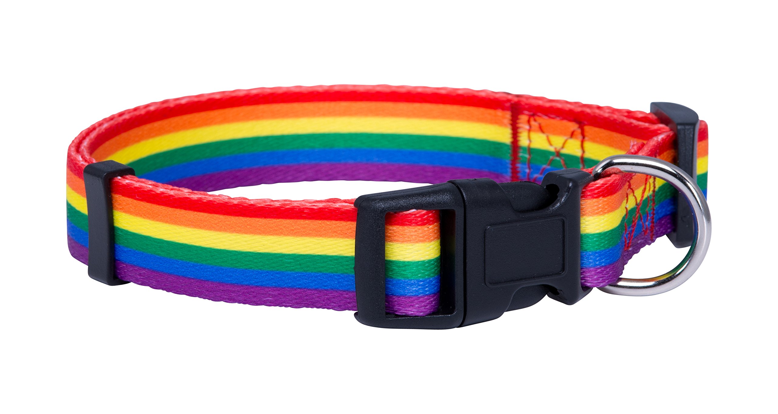 pride dog accessories