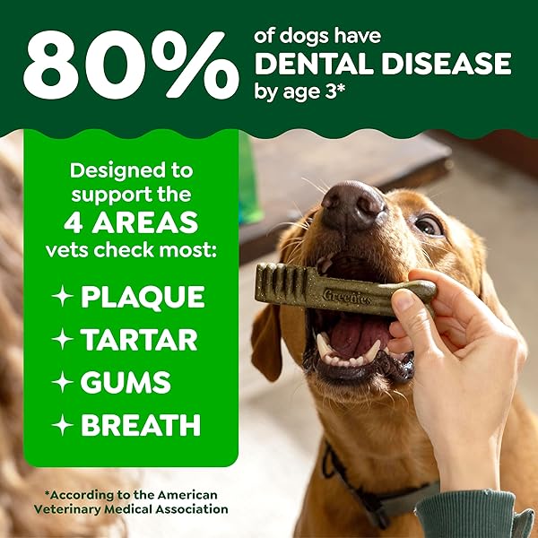 GREENIES DOG TREATS VETERINARIAN-RECOMMENDED NATURAL DENTAL TREATS FOR DOGS, TEENIE SIZE, SWEET POTATO FLAVOR, 36 OZ. PACK, 130 COUNT