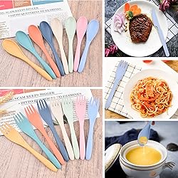 8 Color Travel Utensil Set with Case, Reusable