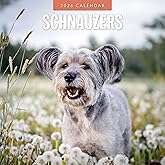 Red Robin 2026 Schnauzers Monthly Wall Calendar | 12" x 24" Open | Premium Thick & Sturdy Paper | Hangable 12 Month Calendar | Lined Notes & To Do Area | Vivid Images | Plastic Free