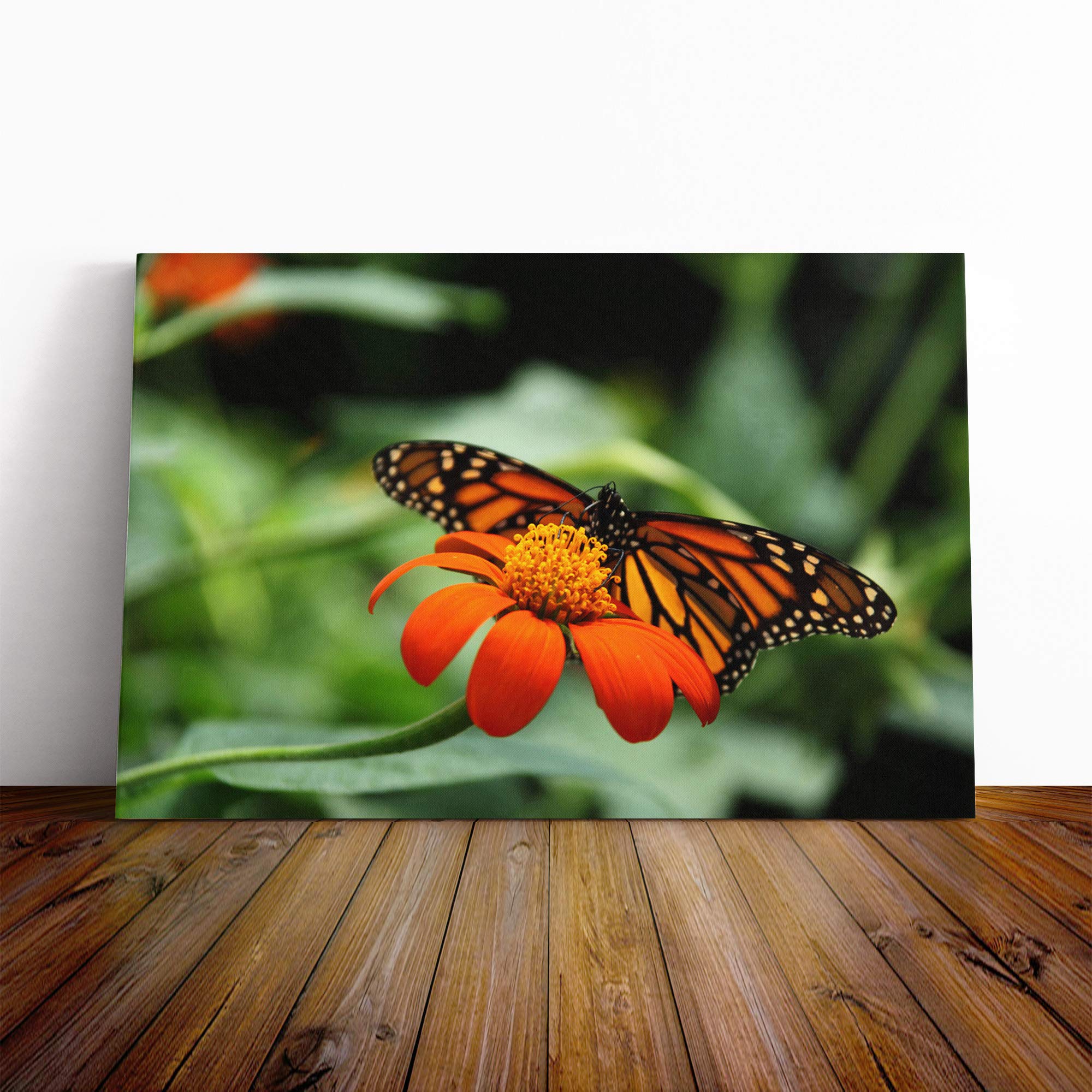 Flower and Butterfly (2) Canvas Print | Gallery Wrapped 30mm Frame Wall Art | 20x14 inches | Ready to Hang | Contemporary Animals Picture | Living Room Bedroom Lounge Office