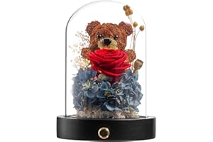 Polylove Forever Flowers Gifts for Women Preserved Roses Bear with Mood Light Gifts for Girlfriend Wife Mother Valentines Day Mothers Day Christmas Birthday (Red Rose, Haze Blue Hydrangea)