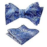 Alizeal Mens Gradient Color Classic Paisley