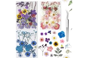 MUCBAFLY 100pcs Dried Pressed Flowers for Resin, Real Pressed Flowers Dry Leaves Bulk Natural Herbs Kit for Scrapbooking DIY Art Crafts, Epoxy Resin Jewelry, Candle, Soap Making, Nails Décor (Set B)