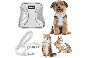 GAMUDA Small Pet Harness Collar and Leash Set, Step in No Chock No Pull Linen Fabric Soft Mesh Dog Vest Harnesses Reflective for Dogs Puppy Cats Kitten Rabbit (XXS, White)