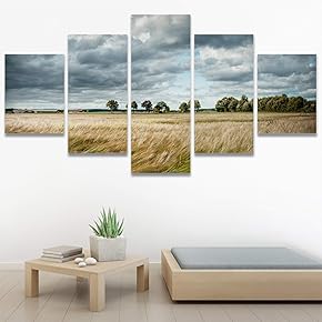 SIGNWIN 5 Panel Canvas Wall Art Modern Art...