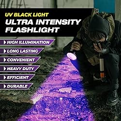 Kobra UV Black Light Flashlight - 100 LED Portable
