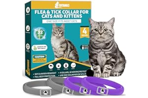 YOTANGO 4 Pack Flea Collar for Cats, Cat Flea and Tick Collar 8 Months Cat Flea Collar Treatment Prevention, Adjustable Waterproof Cat Flea Collar Kitten Natural Tick and Flea Collar for Cat (Purple&Grey)