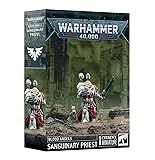 Sanguinary Priest - Blood Angels Warhammer 40,000